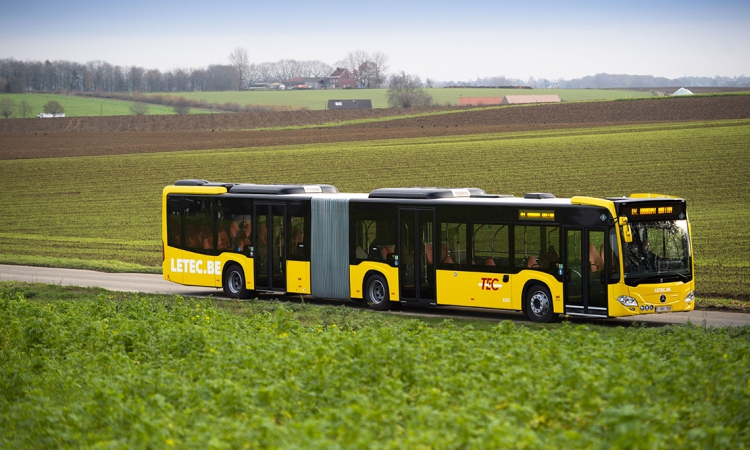 Gelenkbusse im gelben Trikot: Mercedes-Benz liefert 129 Citaro G hybrid an das belgische Unternehmen TEC Group 