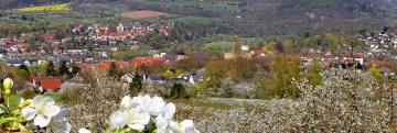 Kirschblüte in Witzenhausen 2021.